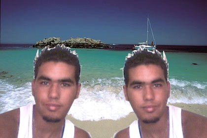 tjr moi