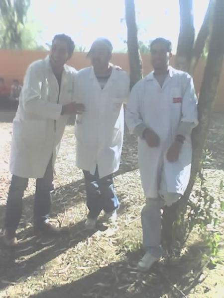 tjr les amis